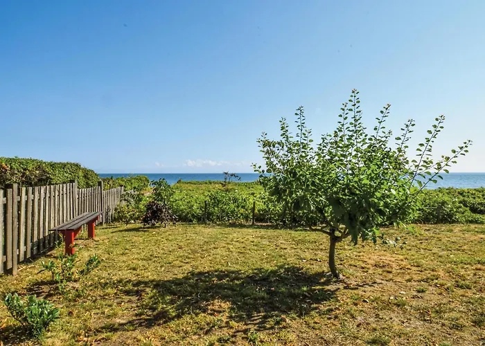 Fyrrevej Tranekaer Iii